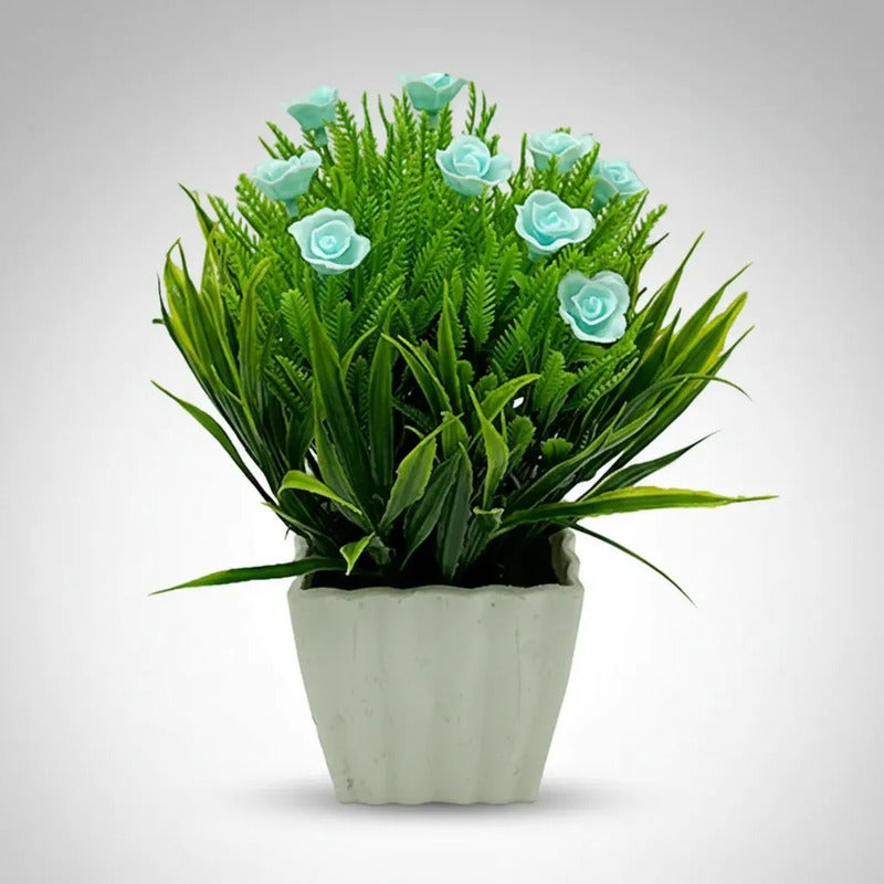 Planta Rosita Con Pasto En Maceta