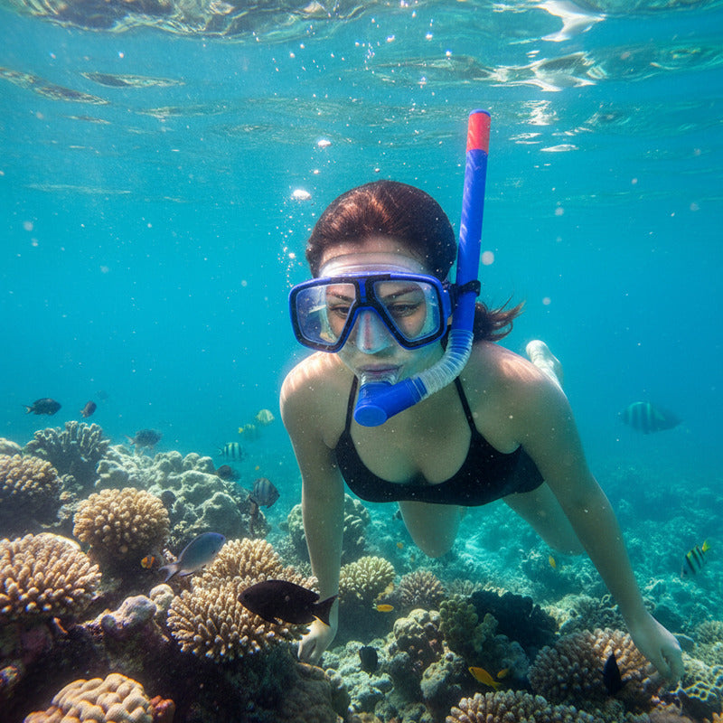 Snorkel