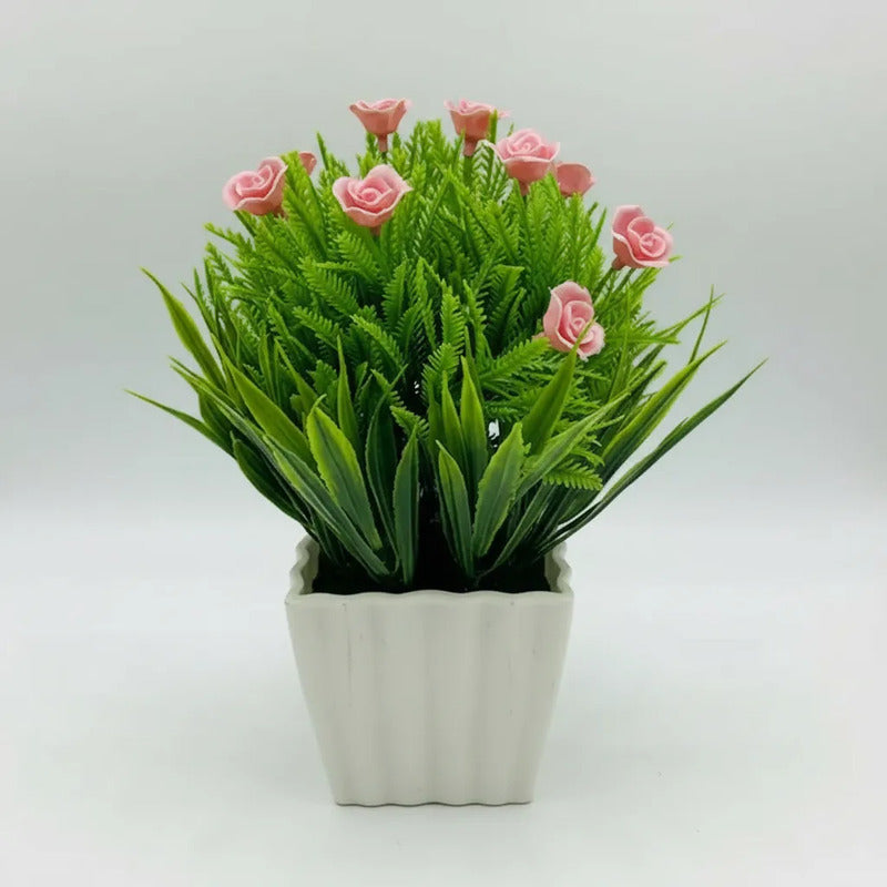 Planta Rosita Con Pasto En Maceta