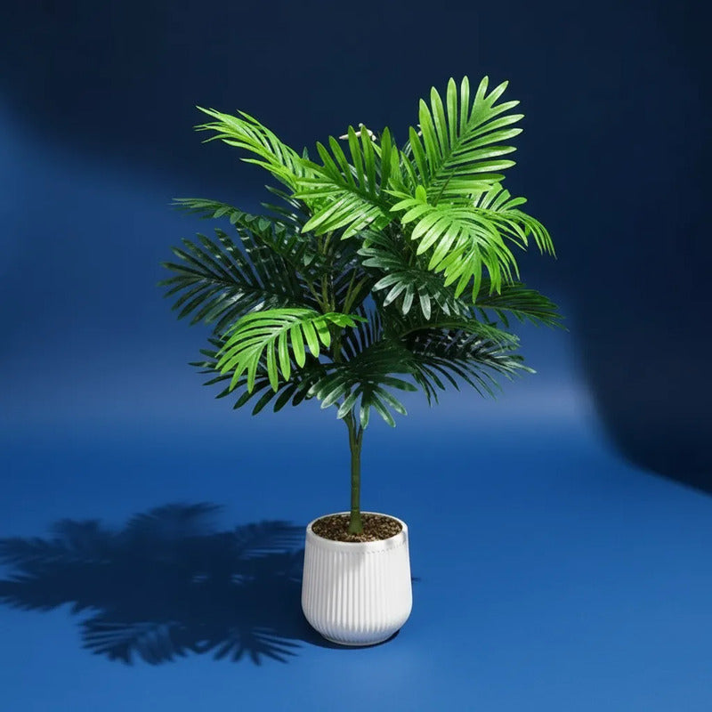 Planta Palma 80 cm