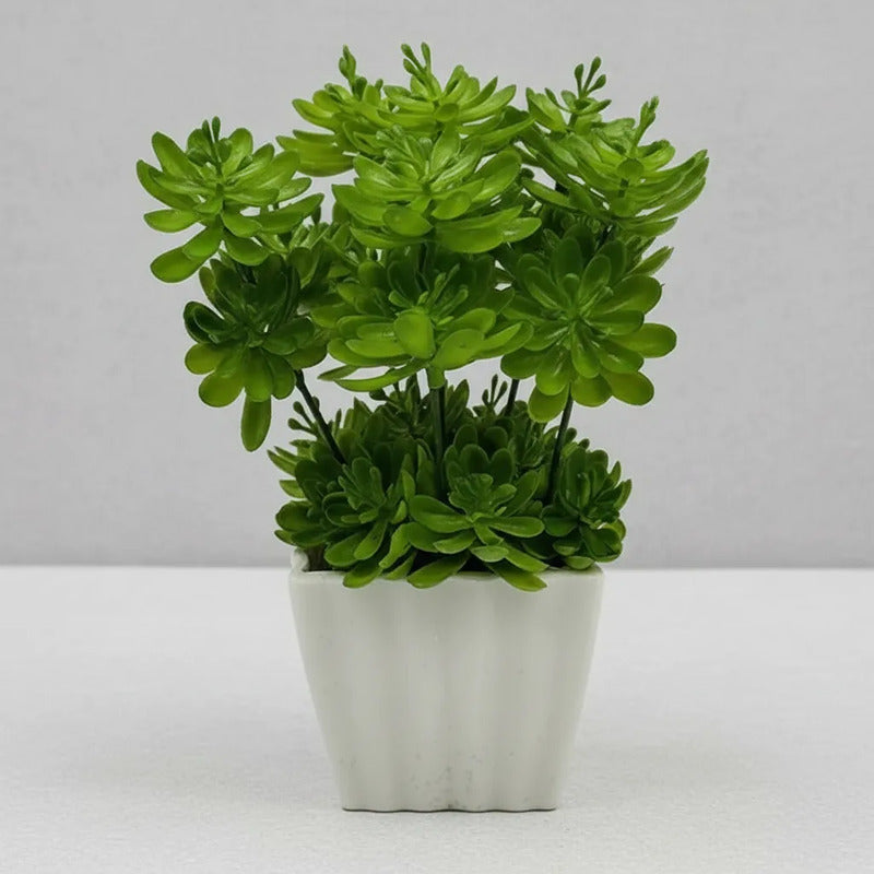 Planta Artificial Sedum En Maceta