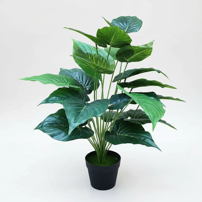 Planta Alocasia 75cm - 24 Hojas