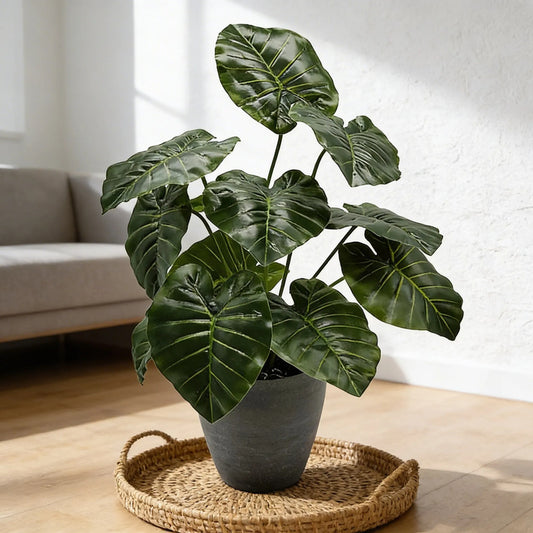 Ramo Hoja Alocasia 38 cm - 12 Hojas