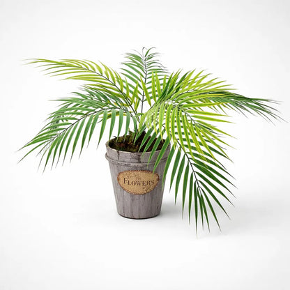 Planta Palma 60cm Contiene 9 Hojas