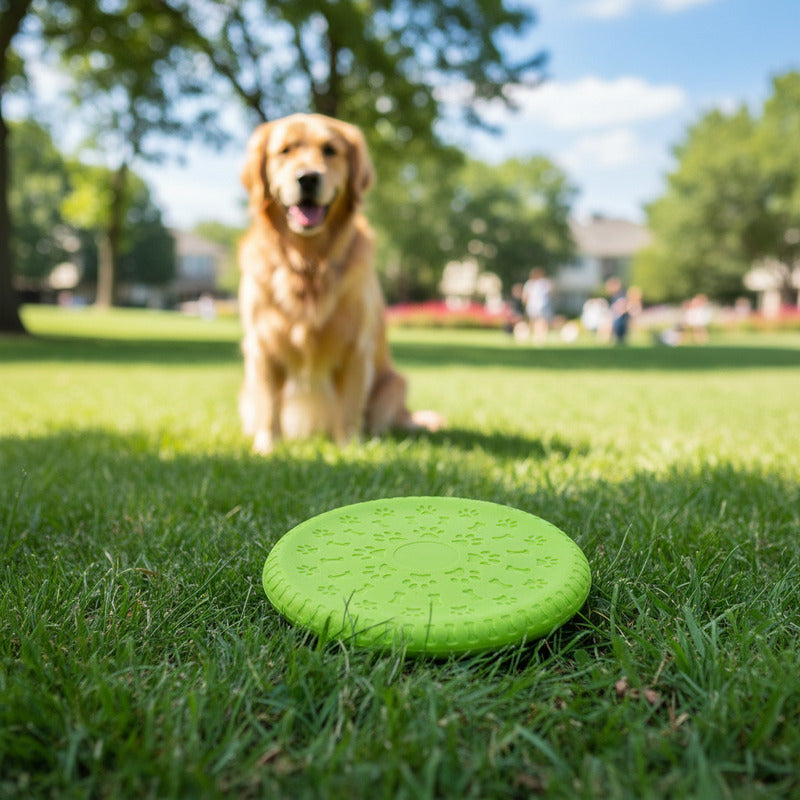Frisbee Para Mascotas De Silicona 19 cm
