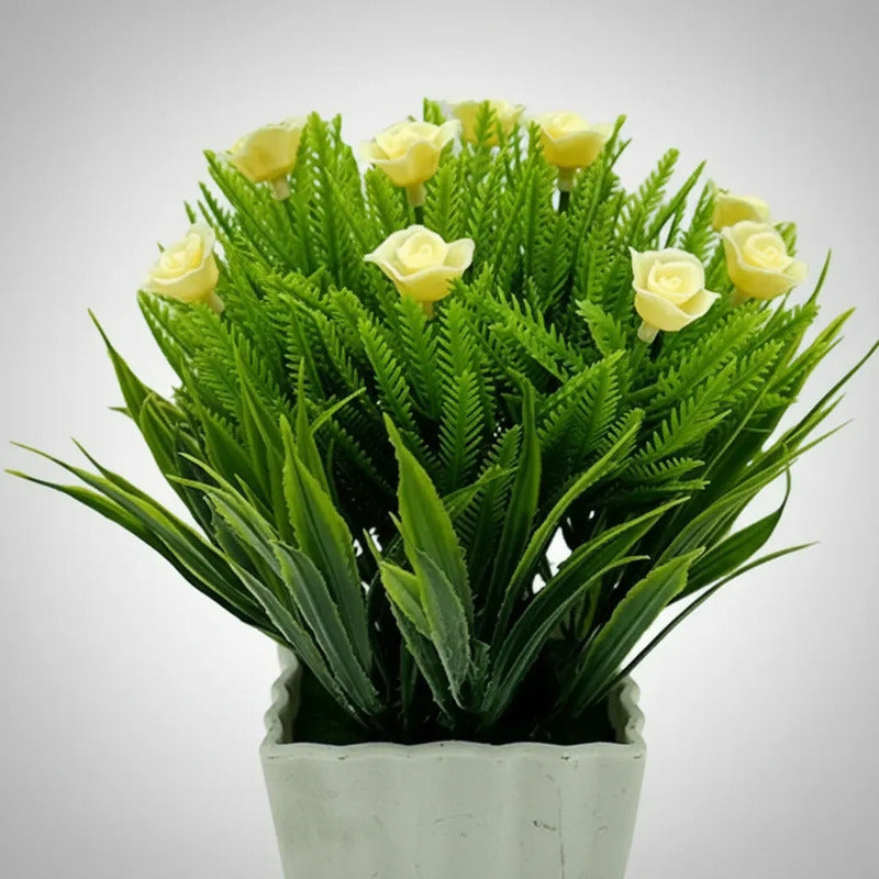 Planta Rosita Con Pasto En Maceta