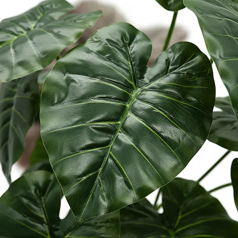 Ramo Hoja Alocasia 38 cm - 12 Hojas