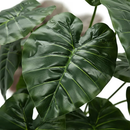 Ramo Hoja Alocasia 38 cm - 12 Hojas