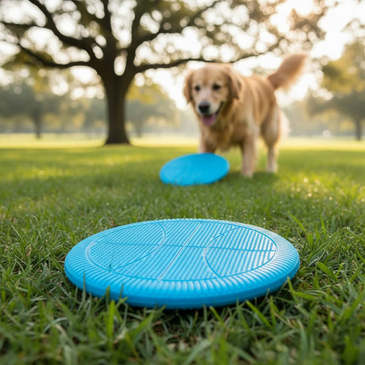 Frisbee Para Mascotas De Silicona 19 cm