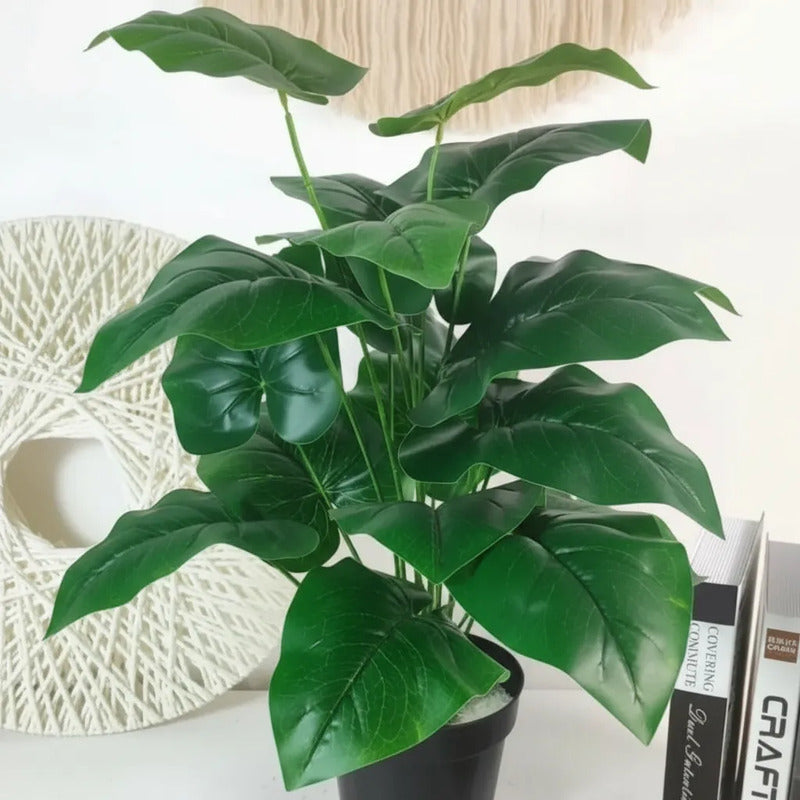 Planta Alocasia 77 cm
