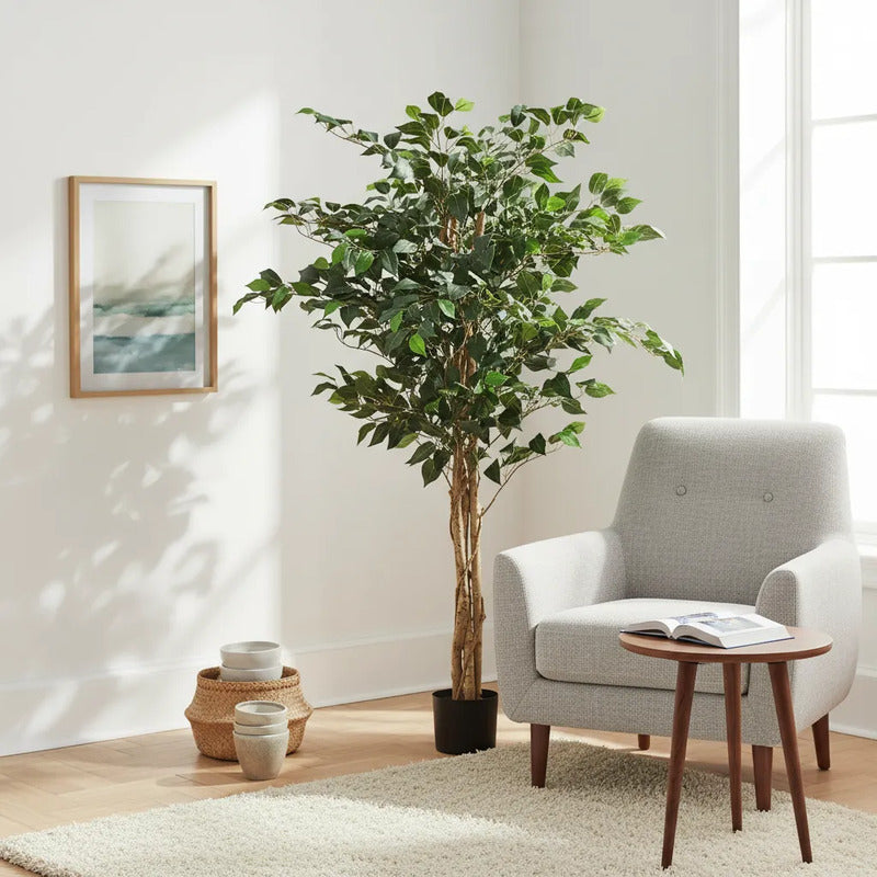 Árbol Ficus 1.80 mts