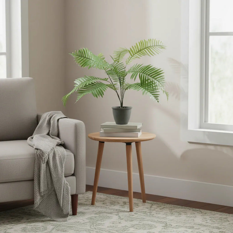 Planta Palma X9 - 76cm