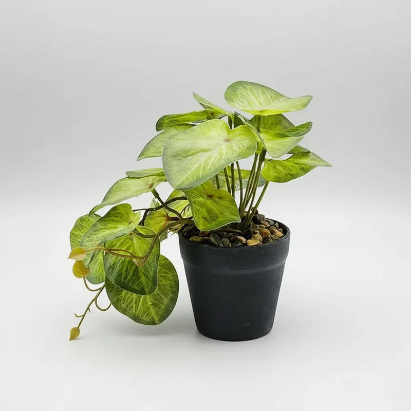Planta Artificial Alphaaca Enredadera En Maceta 18cm