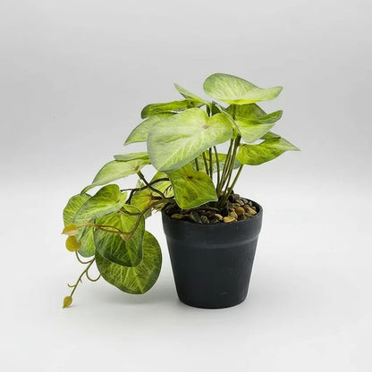Planta Artificial Alphaaca Enredadera En Maceta 18cm