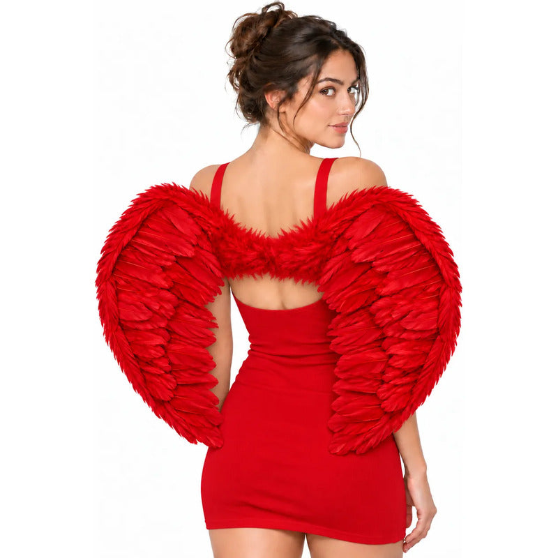 Alas de Ángel