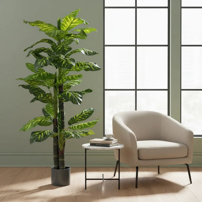 Planta Gomero 2.10 mts