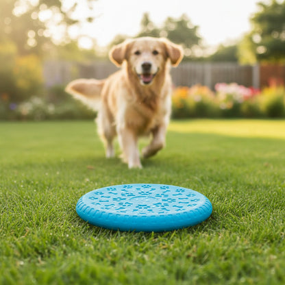 Frisbee Para Mascotas De Silicona 19 cm