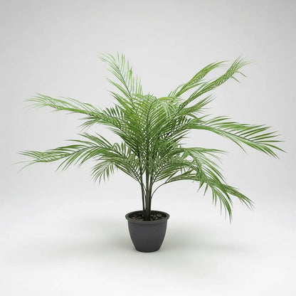 Planta Palma Bambú X15 - 80cm