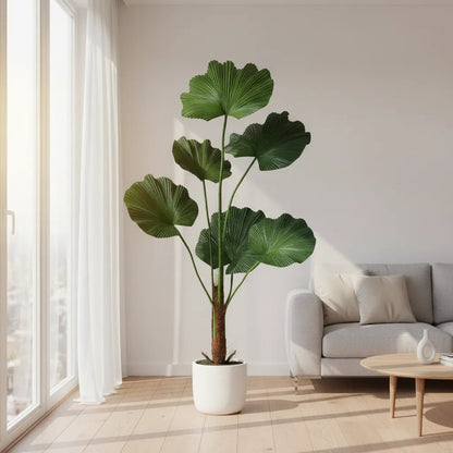 Planta Palmera Licuala 77 cm