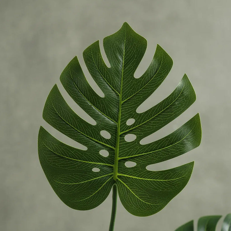 Planta Colgante Esqueleto De Caballo 1mts