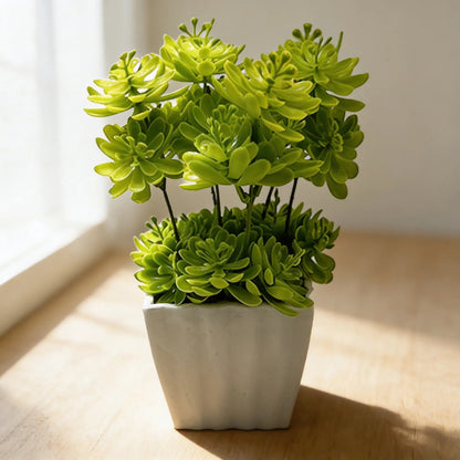 Planta Artificial Sedum En Maceta