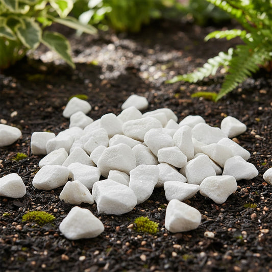 Piedras Rústicas 350g