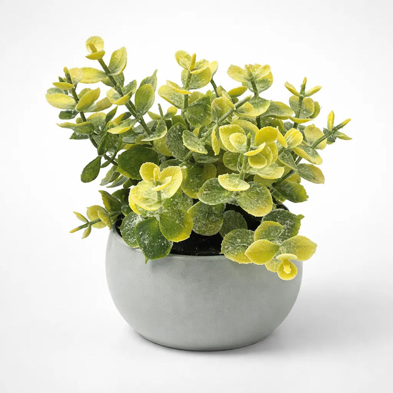 Planta Artificial Eucalipto Con Maceta