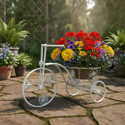 Bici De Metal Chica Blanca
