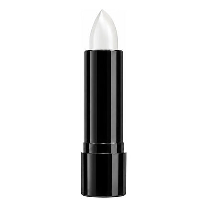 Lápiz Labial