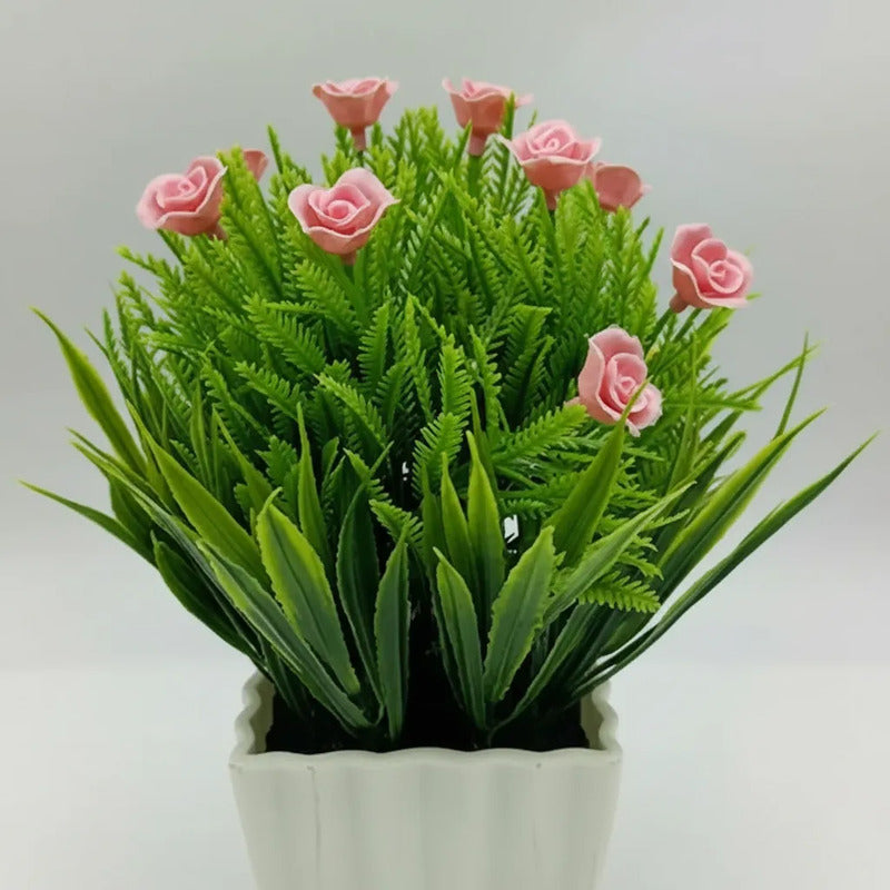 Planta Rosita Con Pasto En Maceta