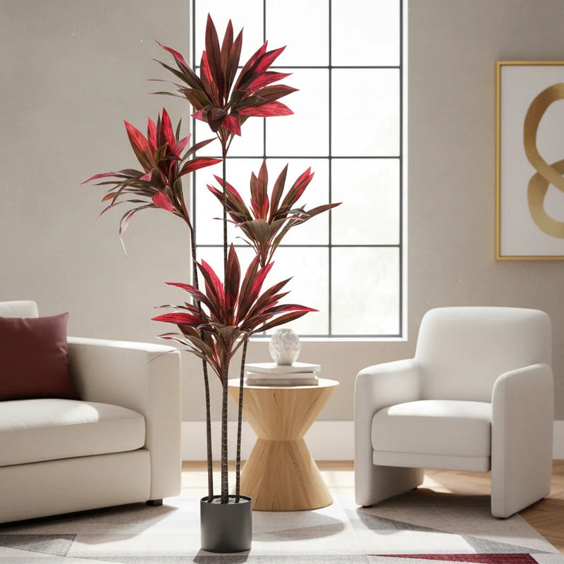 Planta Drácena Roja Tropical 165 cm