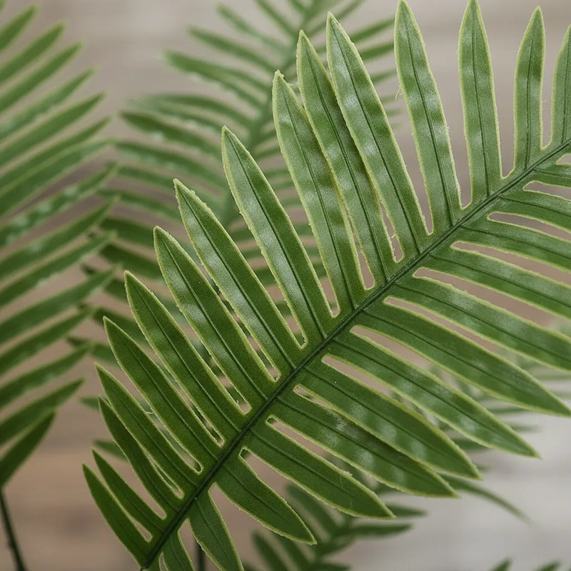 Planta Palma X9 - 76cm