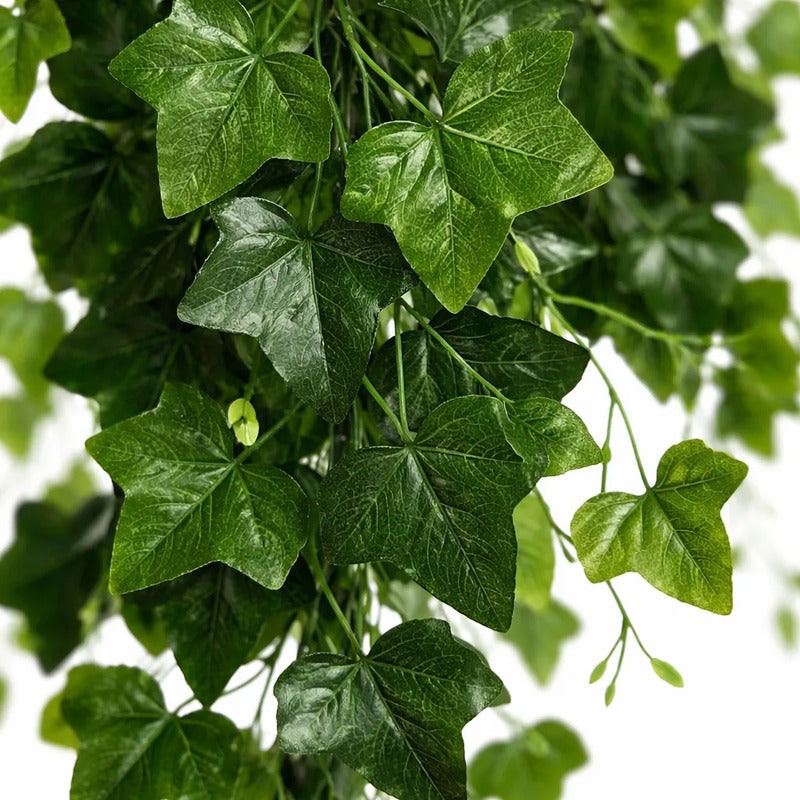 Planta Colgante 103cm