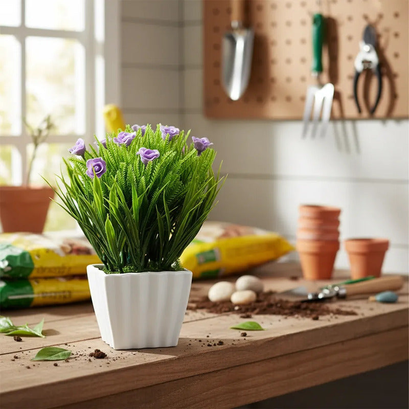 Planta Rosita Con Pasto En Maceta