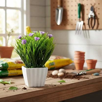 Planta Rosita Con Pasto En Maceta
