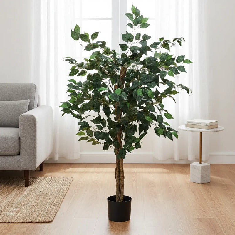 Árbol Ficus 1.20 mts