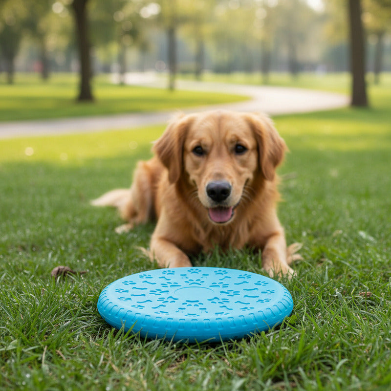 Frisbee Para Mascotas De Silicona 19 cm
