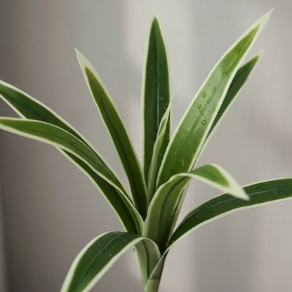 Planta Tallo Artificial De 9 Brotes
