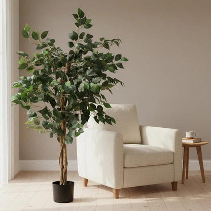 Árbol Ficus 1.20 mts