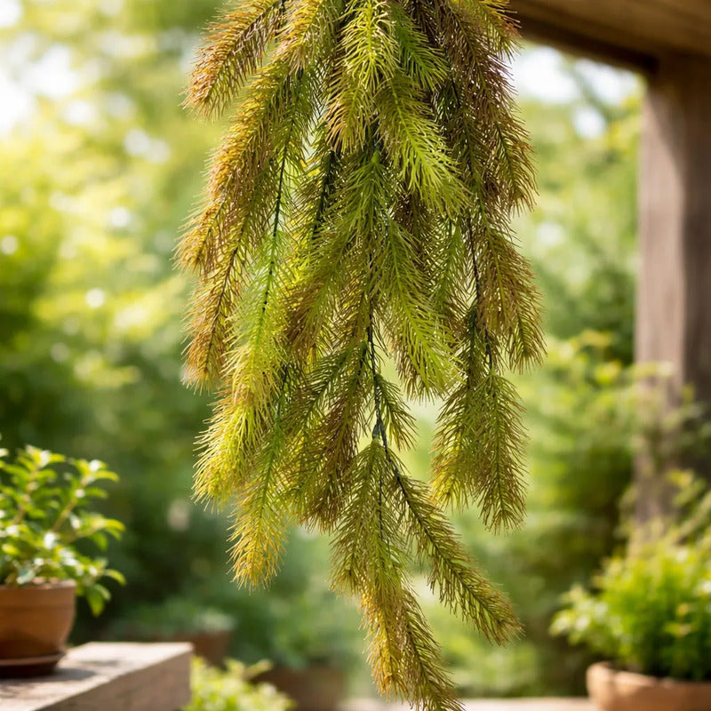 Planta Colgante Pino Frondoso 92 cm