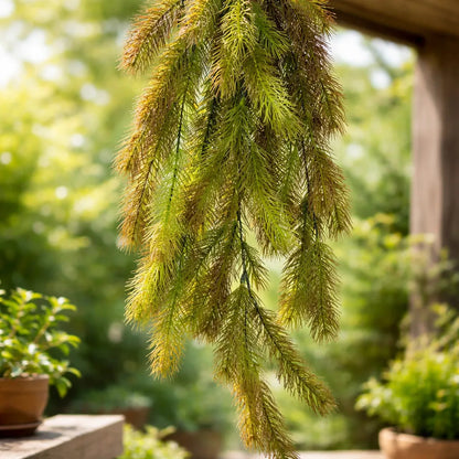 Planta Colgante Pino Frondoso 92 cm