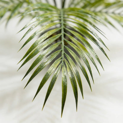 Planta Palma Bambú X15 - 80cm