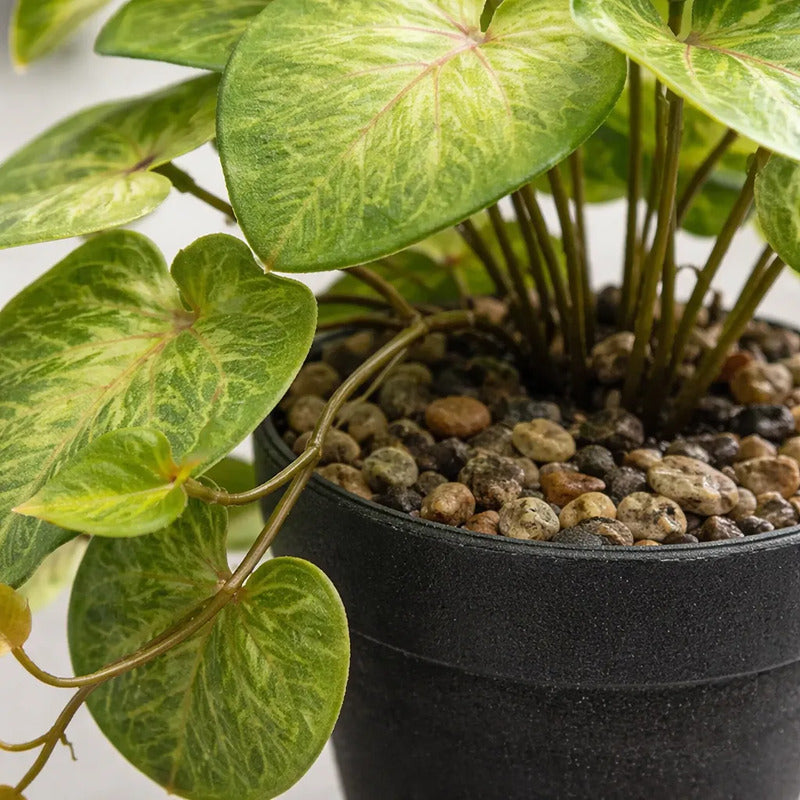 Planta Artificial Alphaaca Enredadera En Maceta 18cm