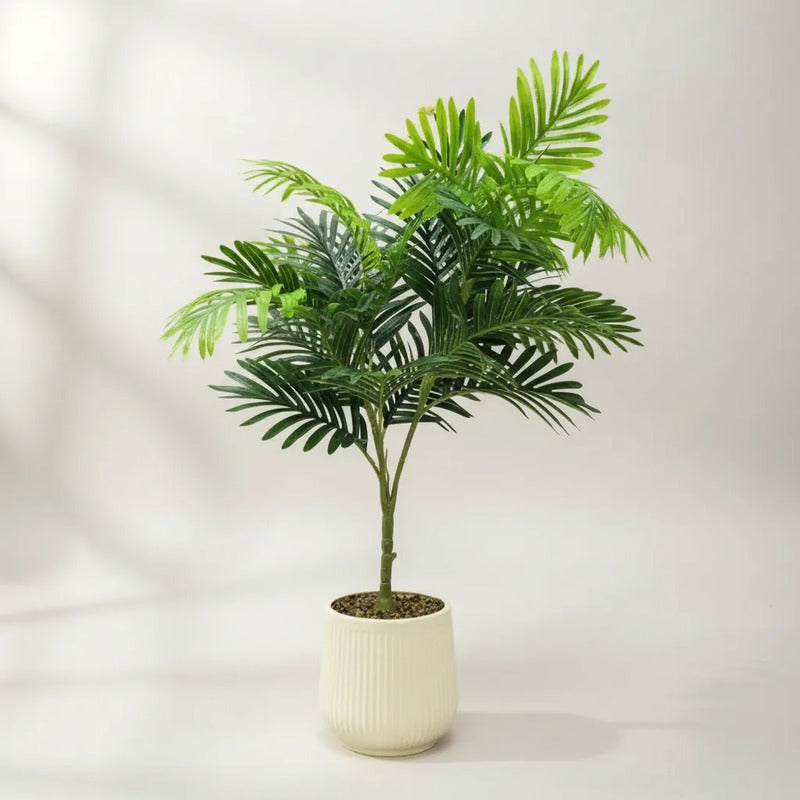 Planta Palma 80 cm