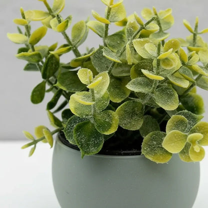Planta Artificial Eucalipto Con Maceta