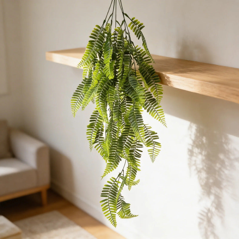 Planta Colgante Helecho Serrucho 80 cm