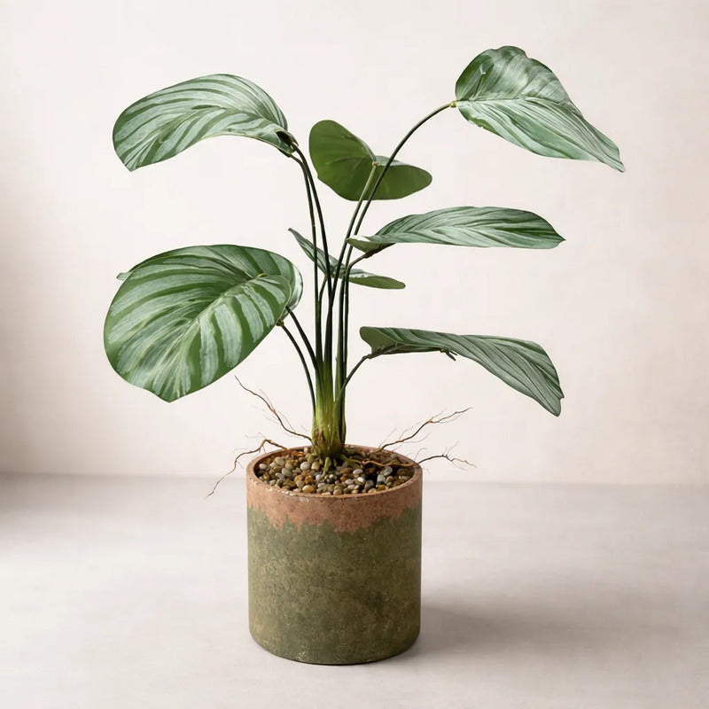 Planta Artificial Gomero Mediana