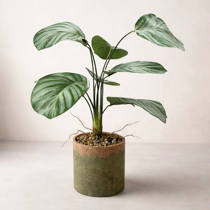Planta Artificial Gomero Mediana