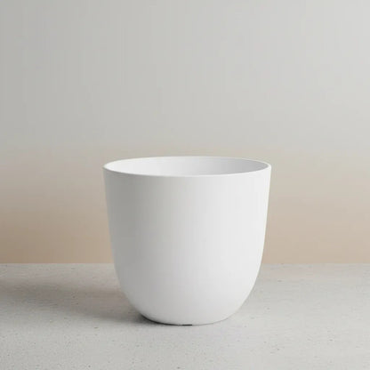 Maceta Blanca