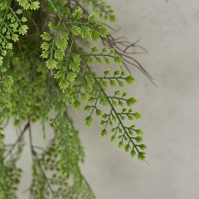 Planta Colgante Helecho 110 cm